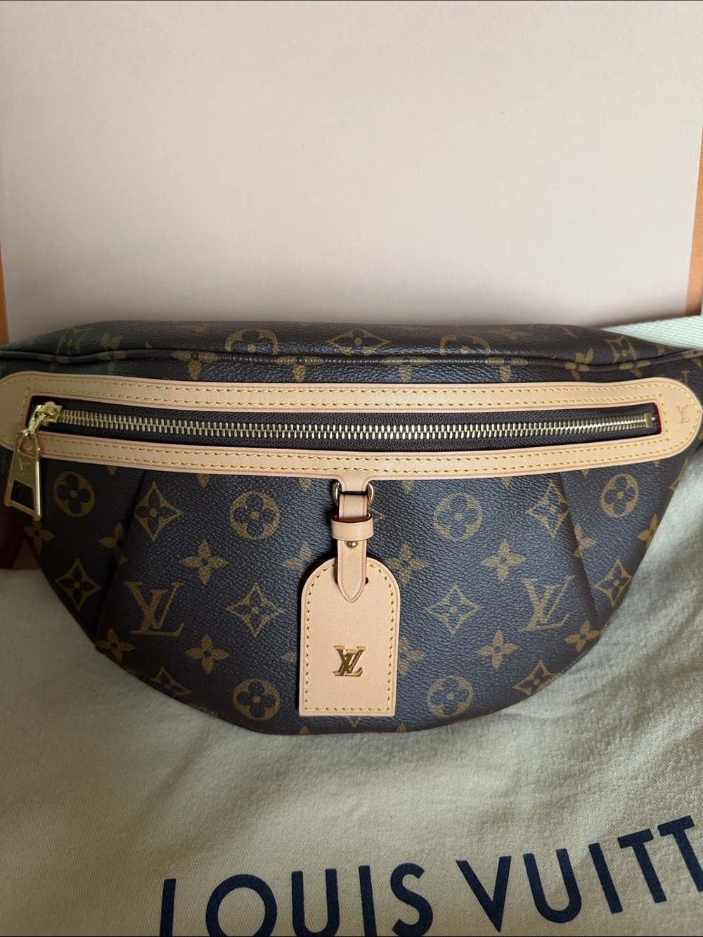 Louis Vuitton High rise Bumbag M46784